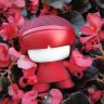 X3 Xoopar Boy Mini Red